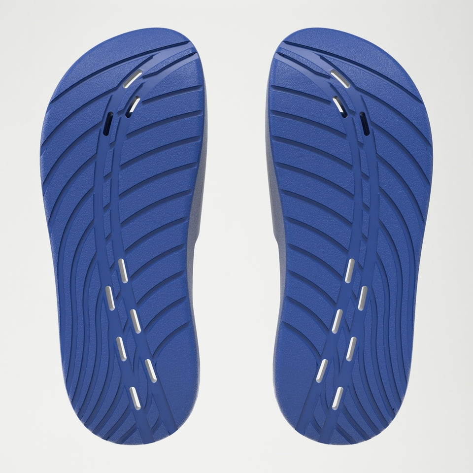 Speedo Slide Navy | Speedo sale